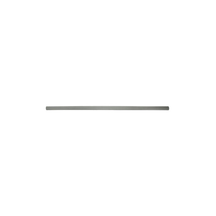 Blic 5703-04-9504575P Door Molding for VW Polo