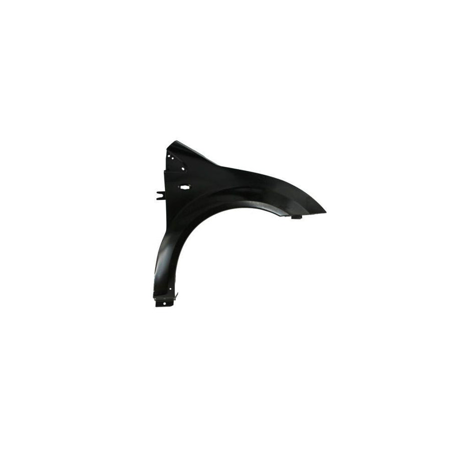 Blic 6504-04-0511314Q Wing Fender for Citroen C2