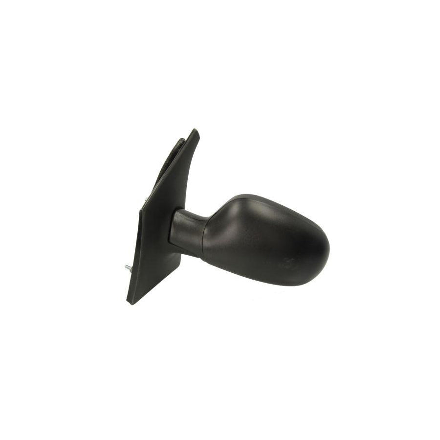 Blic 5402-04-1125234P Wing Mirror for Renault Megane Scenic (Ja)