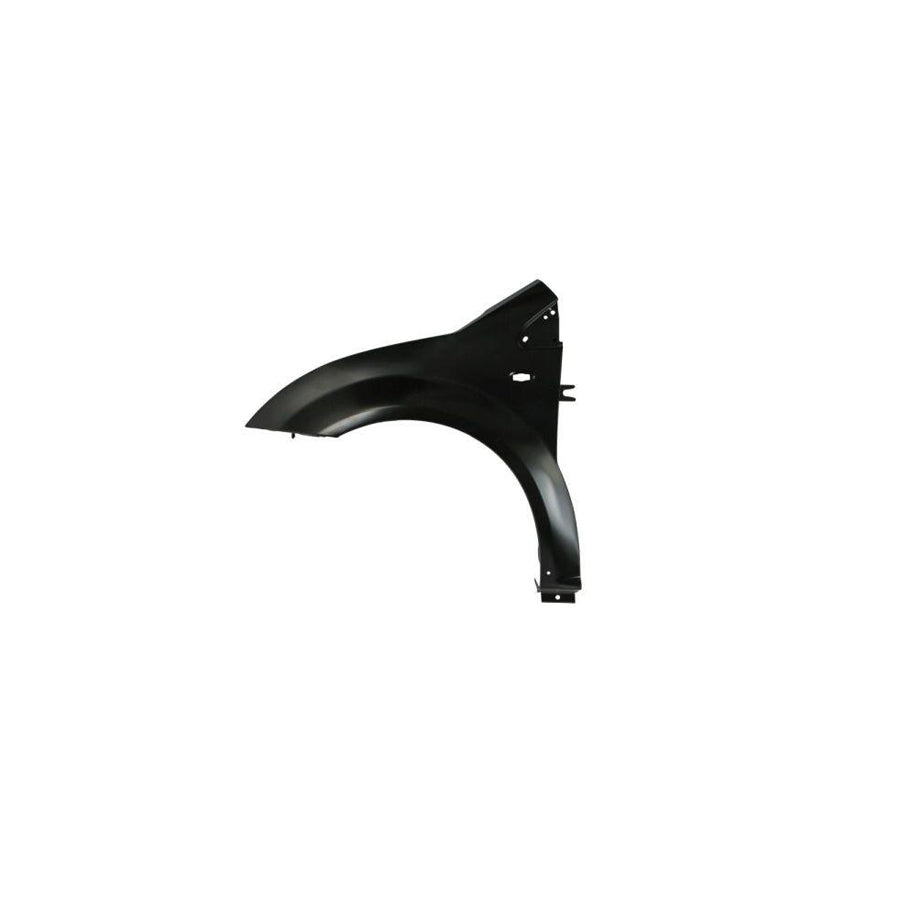 Blic 6504-04-0511313Q Wing Fender for Citroen C2