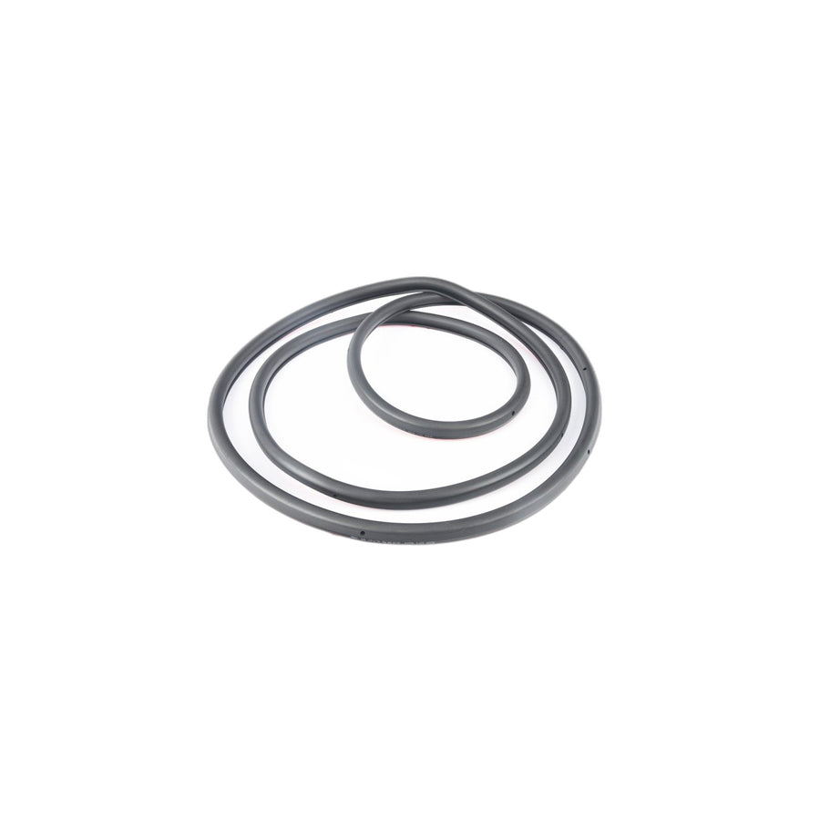 Genuine BMW 51229070562 E39 Right Rear Door Seal (Inc. 540i, 530i & 528i)