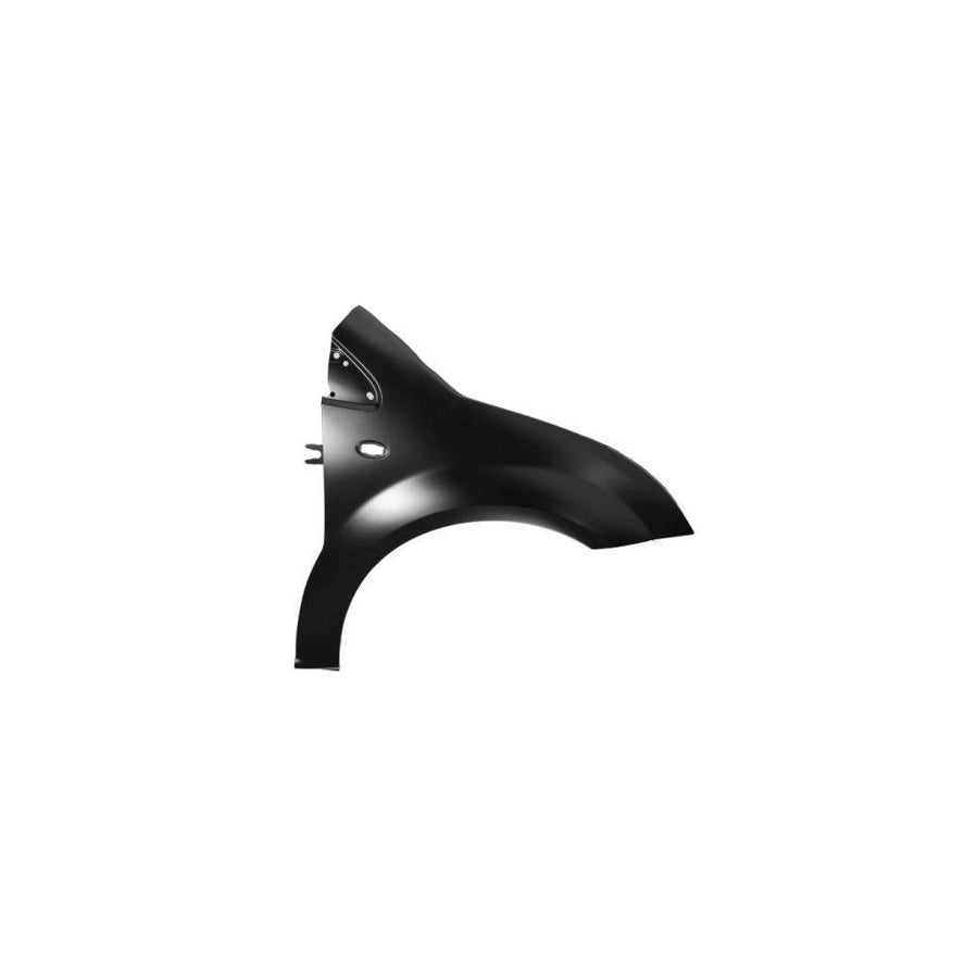 Blic 6504-04-0511312P Wing Fender for Citroen C2