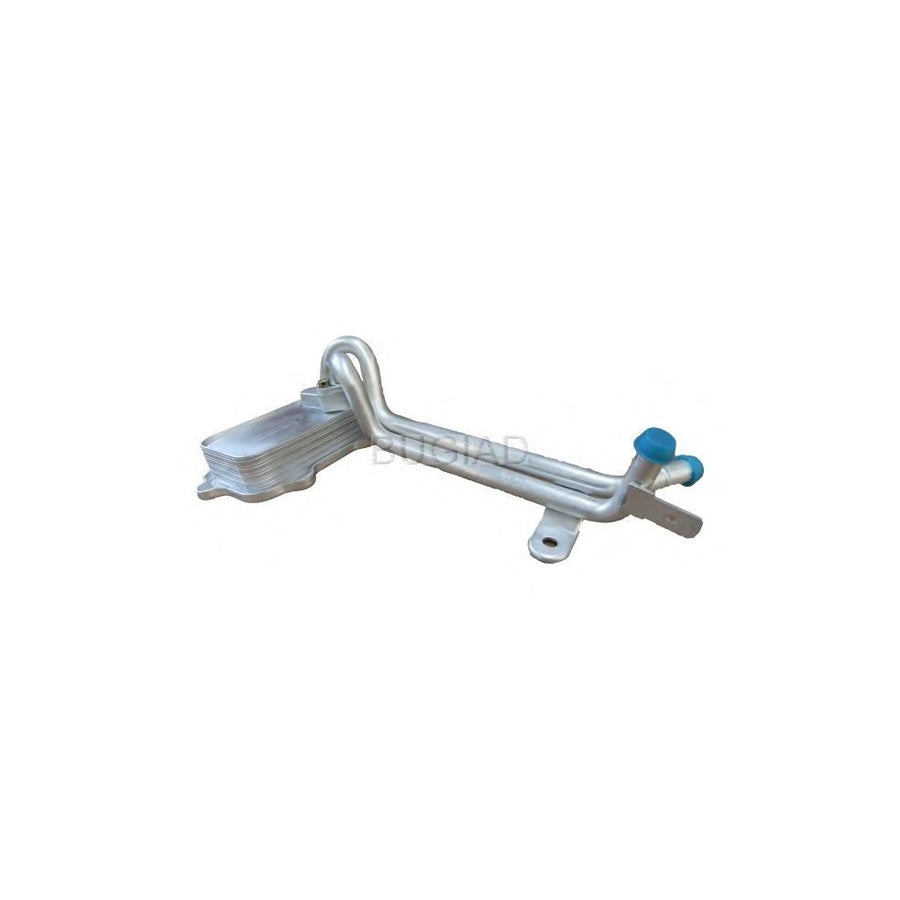 BUGIAD Bsp23150 Engine Oil Cooler