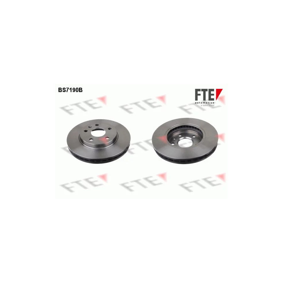 FTE 9081039 Brake Disc
