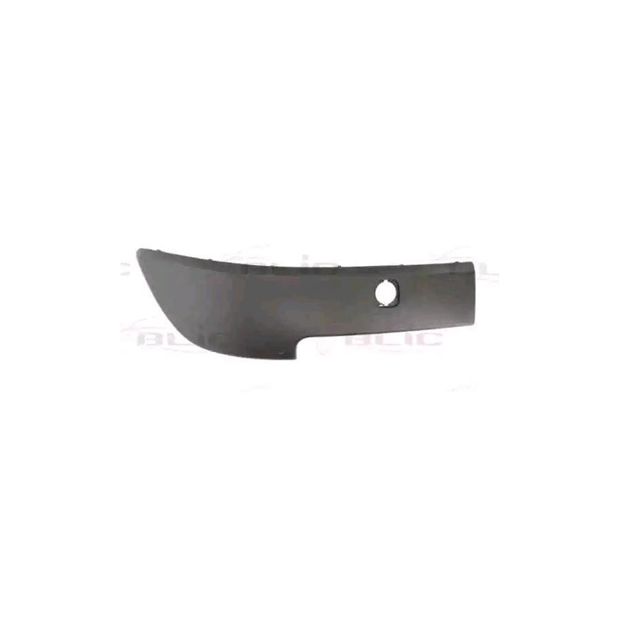 Blic 5510-00-6042922Q Bumper Moulding for Renault Scénic II (Jm)