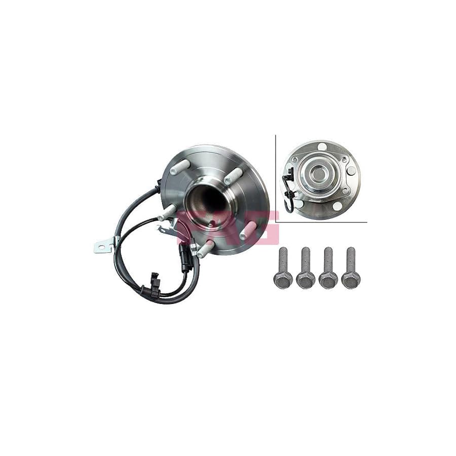FAG 713 6920 10 Wheel Bearing Kit
