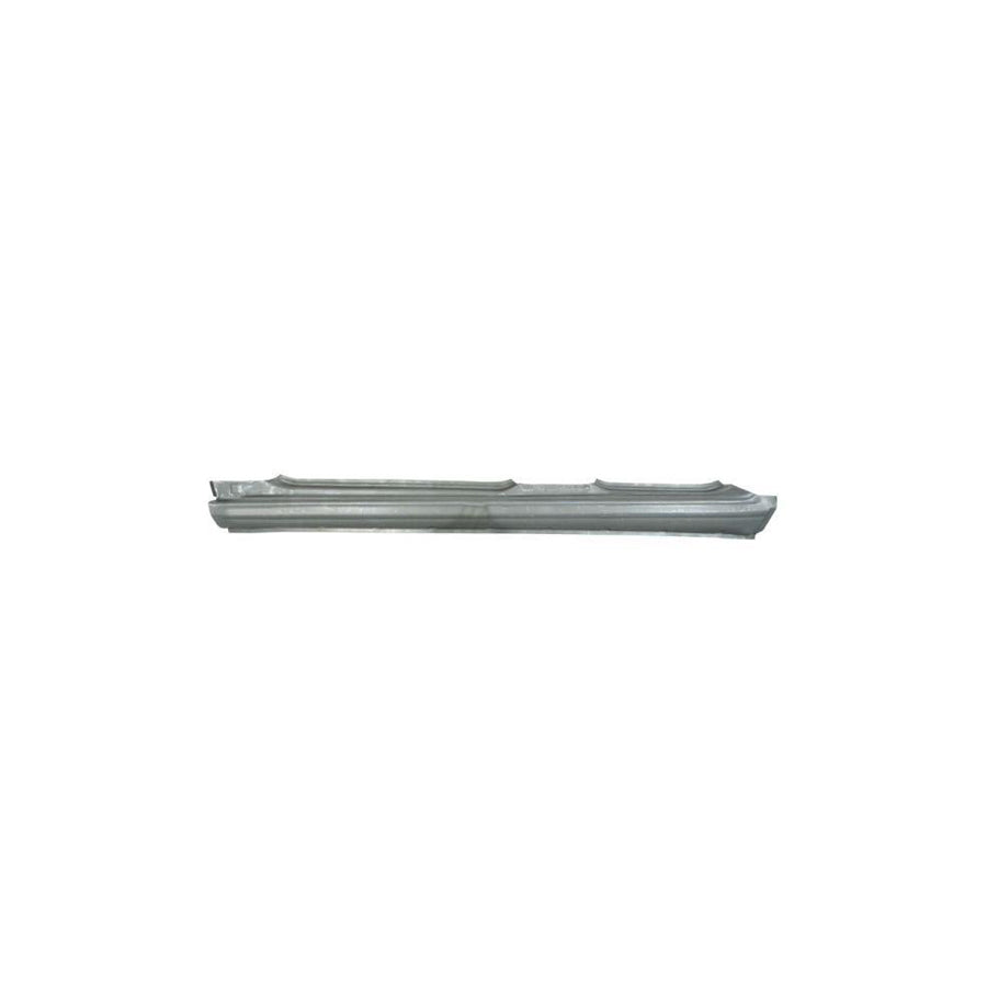 Blic 6505-06-3560011P Rocker Panel Suitable for Mercedes-Benz ML-Class (W163)