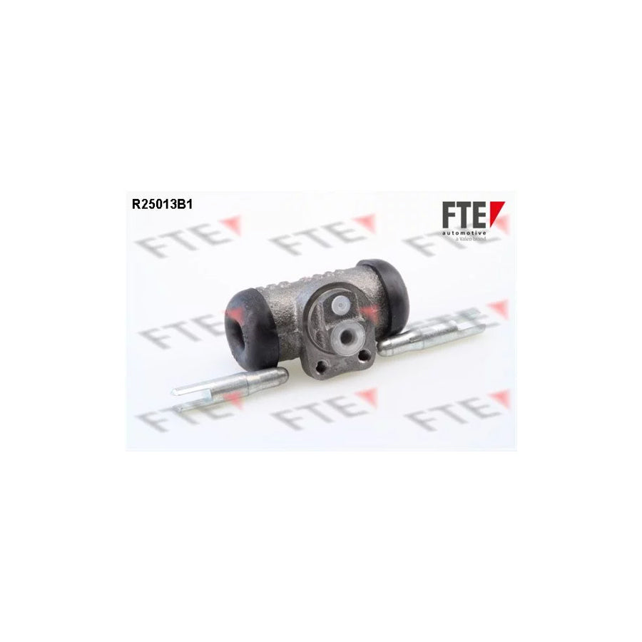 FTE R25013B1 Wheel Brake Cylinder
