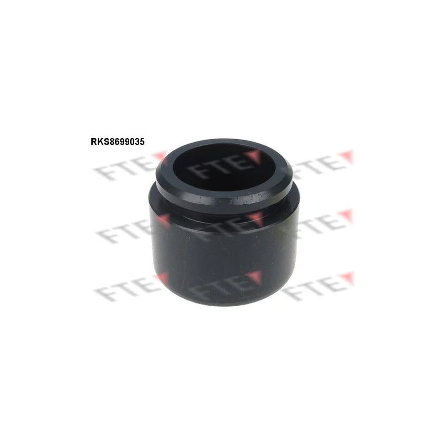 FTE Rks8699035 Piston, Brake Caliper