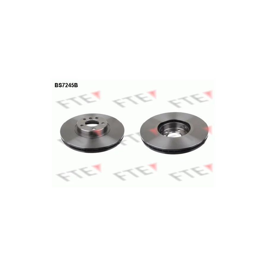FTE 9081038 Brake Disc