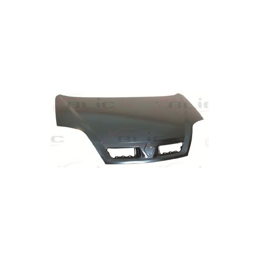 Blic 6803-00-6038281P Bonnet for Renault Scénic I (Ja0/1, Fa0)