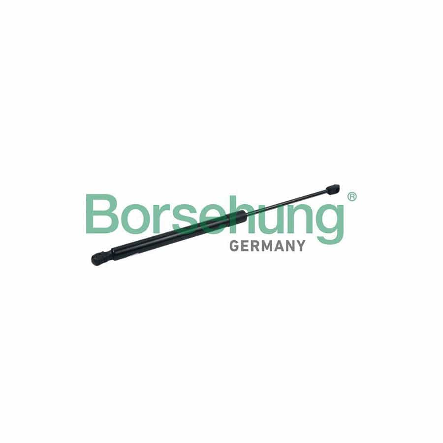 Borsehung B18447 Tailgate Strut for Audi Q7 (4Lb)
