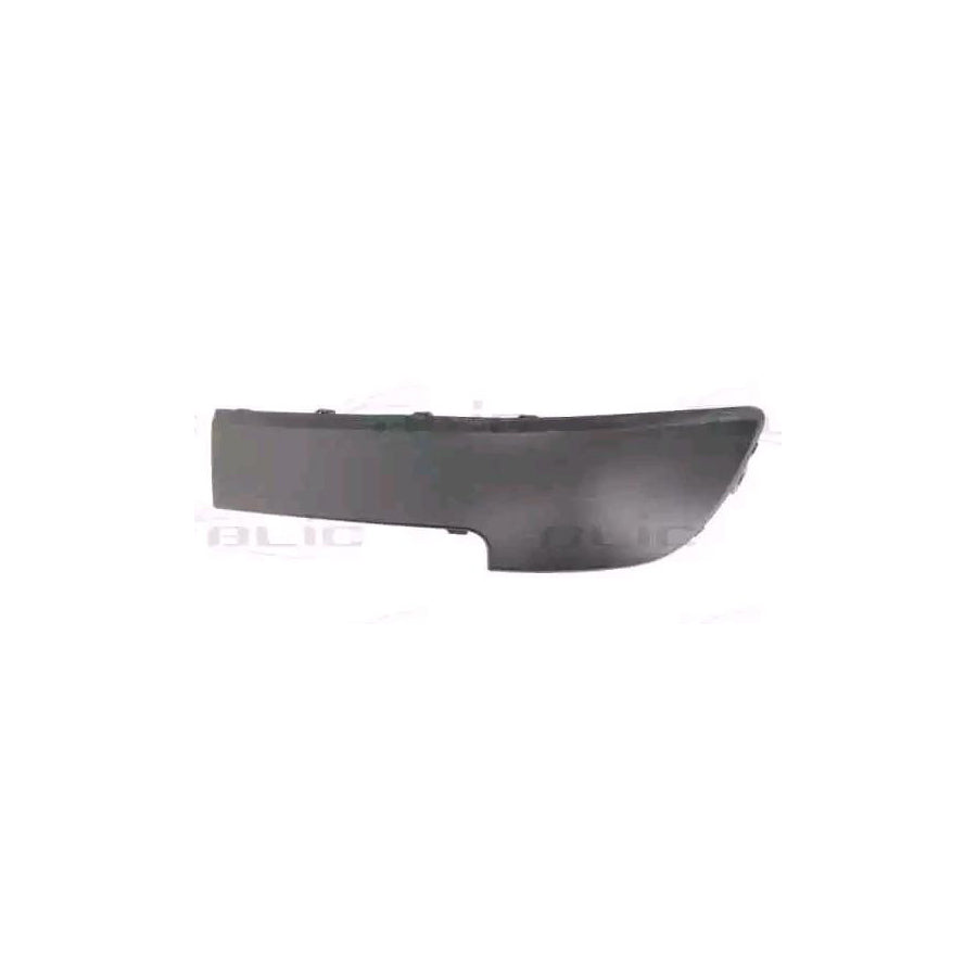 Blic 5510-00-6042921Q Bumper Moulding
