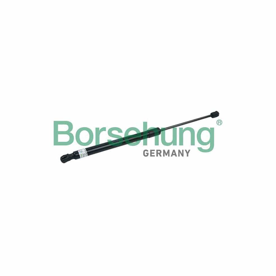 Borsehung B18446 Tailgate Strut for Audi Q7 (4Lb)
