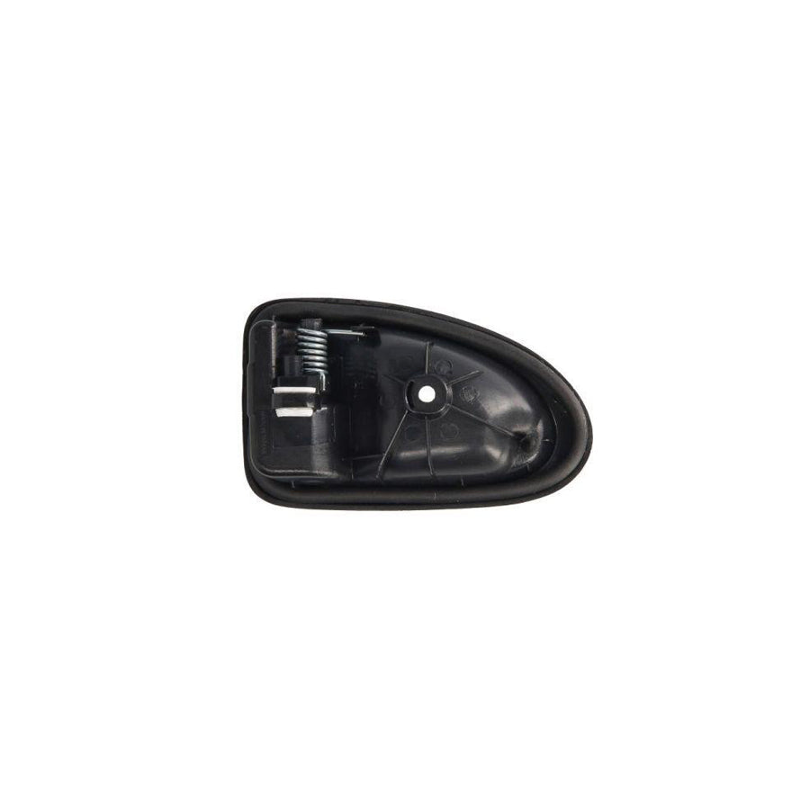 Blic 6010-09-6032408Tp Door Handle for Renault Clio