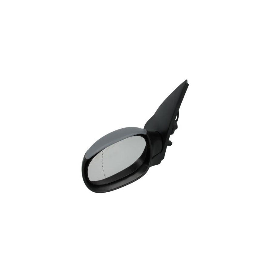 Blic 5402-04-1125287P Wing Mirror for Peugeot 206