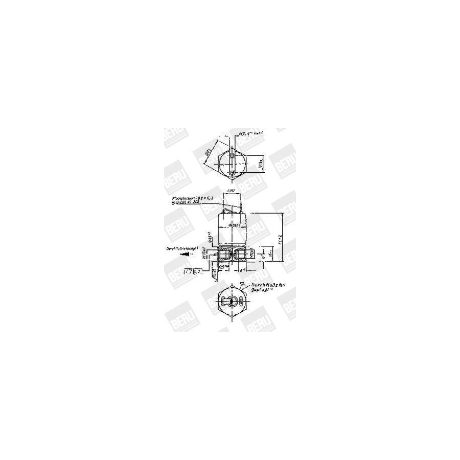 Beru Mv115 Valve, Flame Starter System