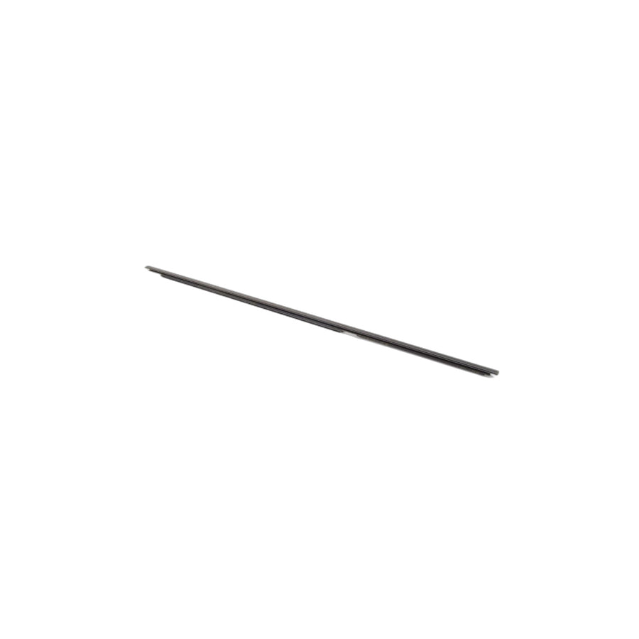 Genuine BMW 51228120287 E34 Door Weather Strip Outer Left (Inc. 525ix, 525i & 540i)