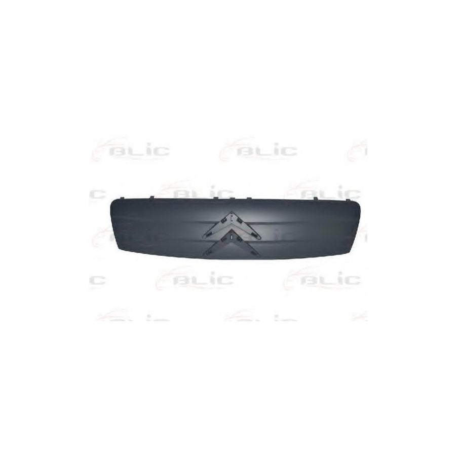 Blic 6502-07-0511991Q Radiator Grille for Citroen C2 Hatchback (Jm)