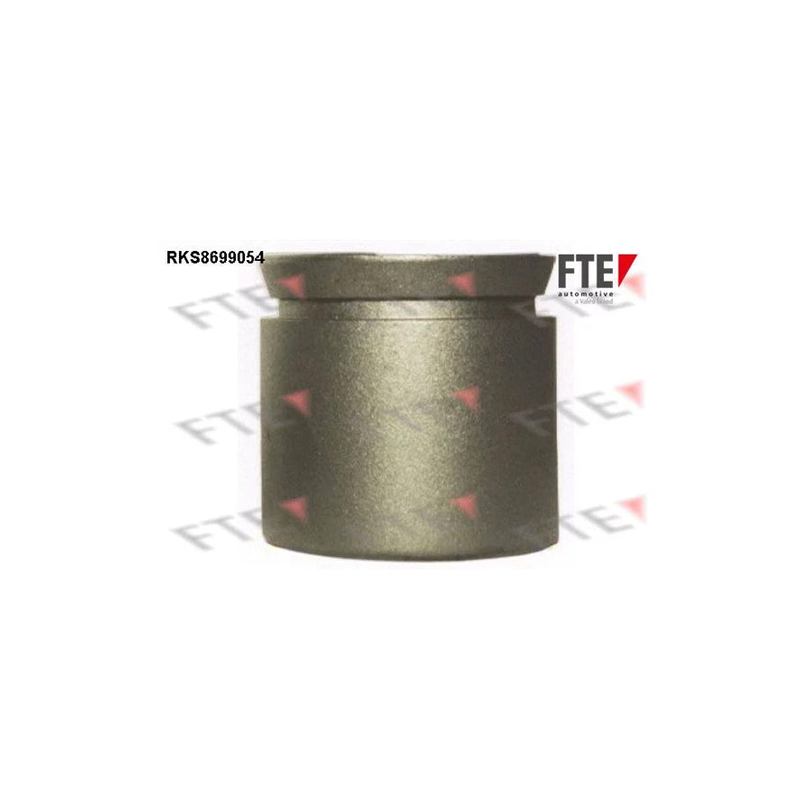 FTE Rks8699054 Piston, Brake Caliper