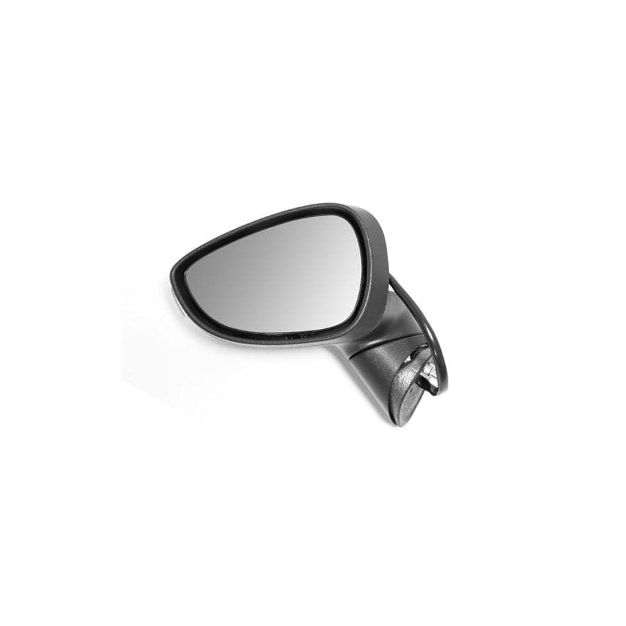 Abakus 1214M10 Wing Mirror for Ford Fiesta Mk6 Hatchback (Ja8, Jr8)