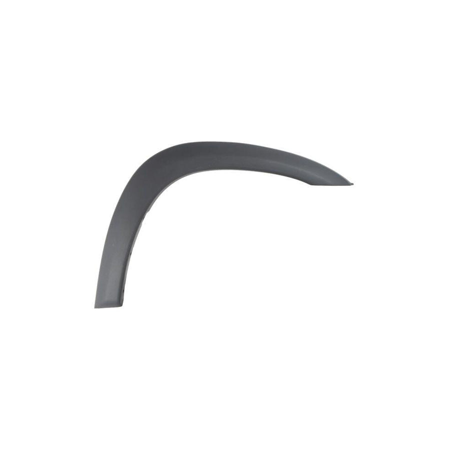 Blic 5703-08-8179374P Trim / Protective Strip, Mudguard for Toyota Rav4 II Off-Road (Xa20)