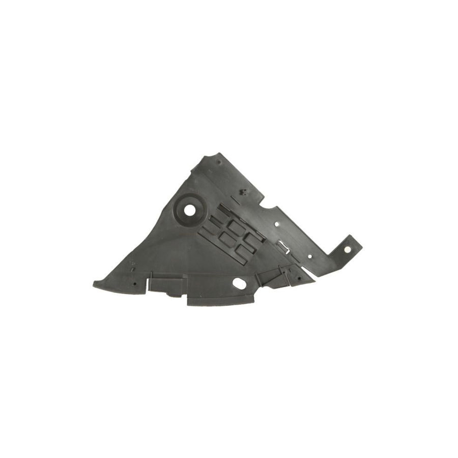 Blic 6601-01-9557831P Repair Panel for VW TRANSPORTER
