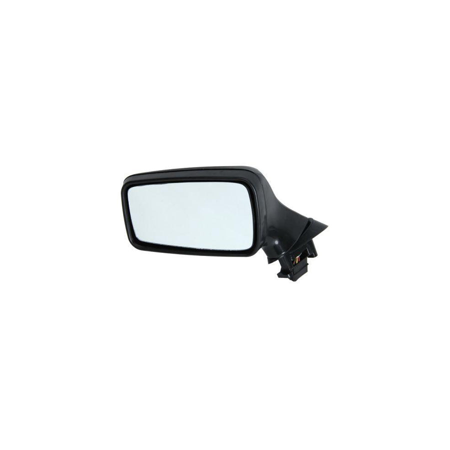 Blic 5402-04-1125283 Wing Mirror