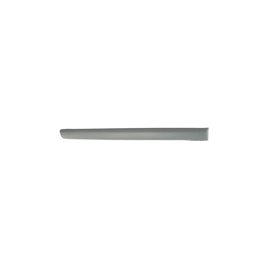 Blic 5703-04-9506578P Door Molding for VW Polo