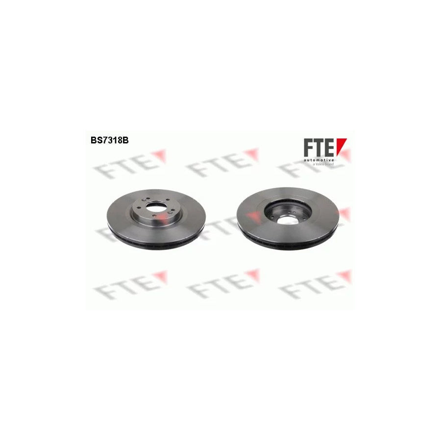FTE 9081052 Brake Disc