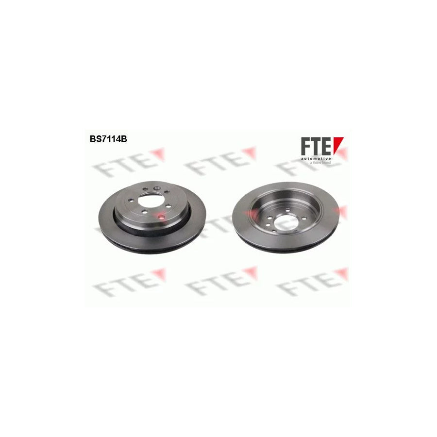 FTE 9081051 Brake Disc