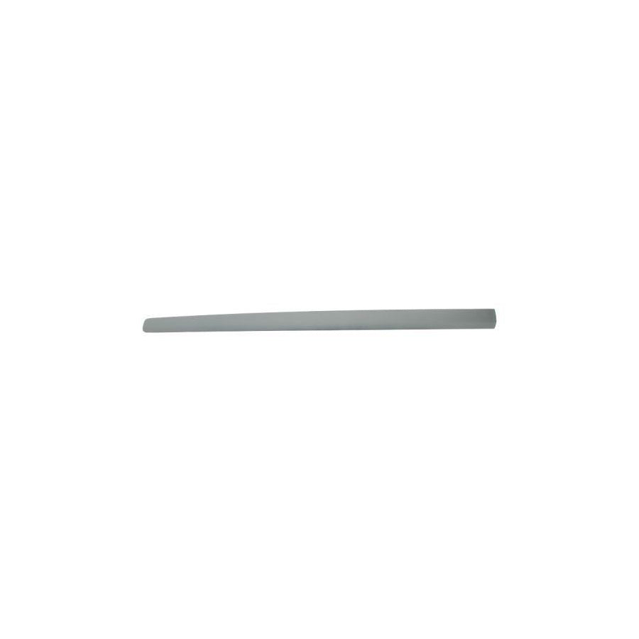 Blic 5703-04-9506576P Door Molding for VW Polo