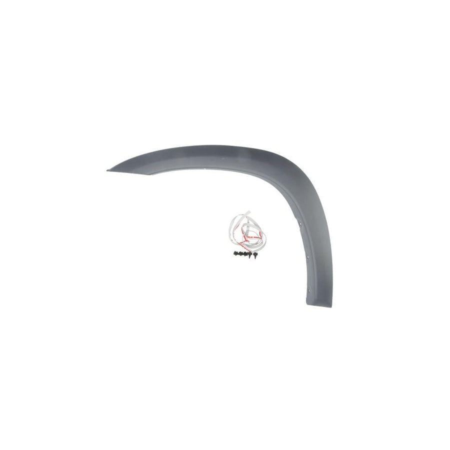 Blic 5703-08-8179373P Trim / Protective Strip, Mudguard for Toyota Rav4 II Off-Road (Xa20)