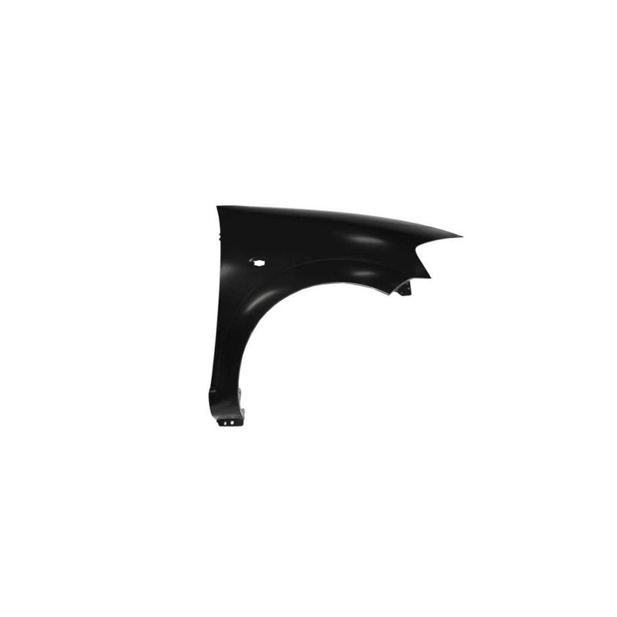 Blic 6504-04-0519314Q Wing Fender for Citroen C3 I Hatchback (Fc, Fn)
