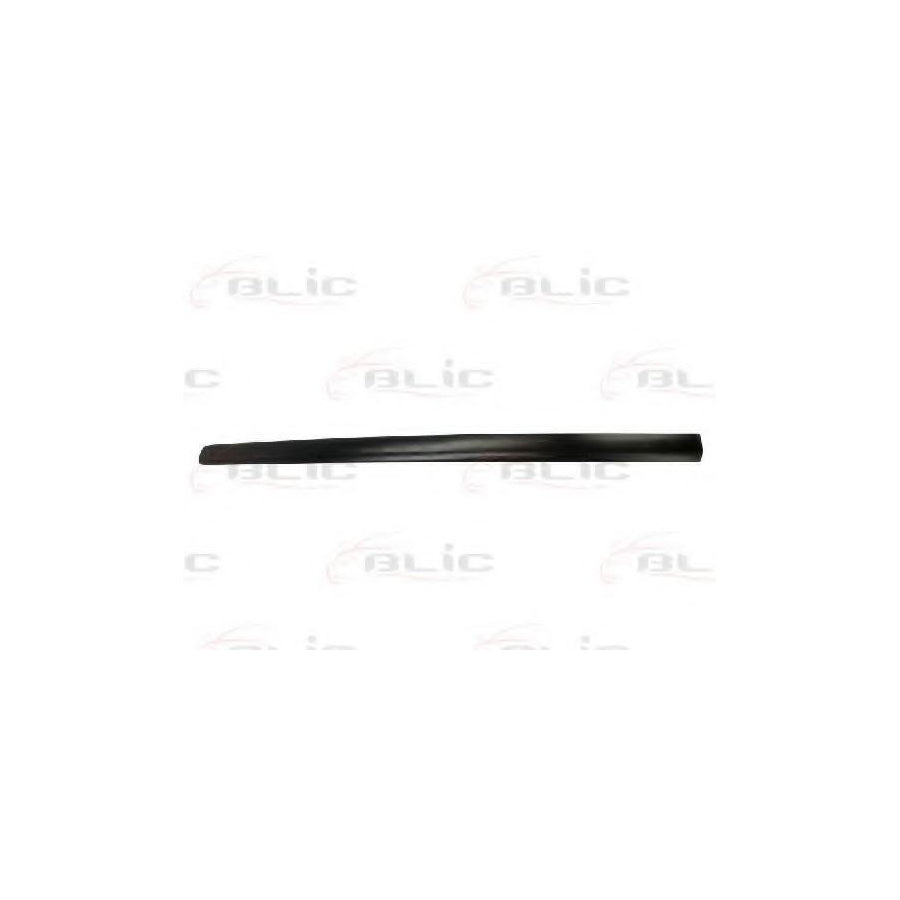 Blic 5703-04-9506572P Door Molding for VW Polo IV Hatchback (9N)