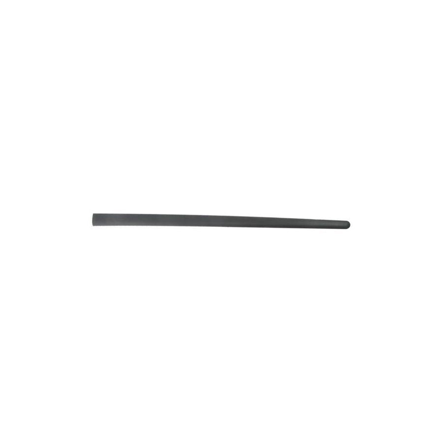 Blic 5703-04-9524571P Door Molding for VW Golf
