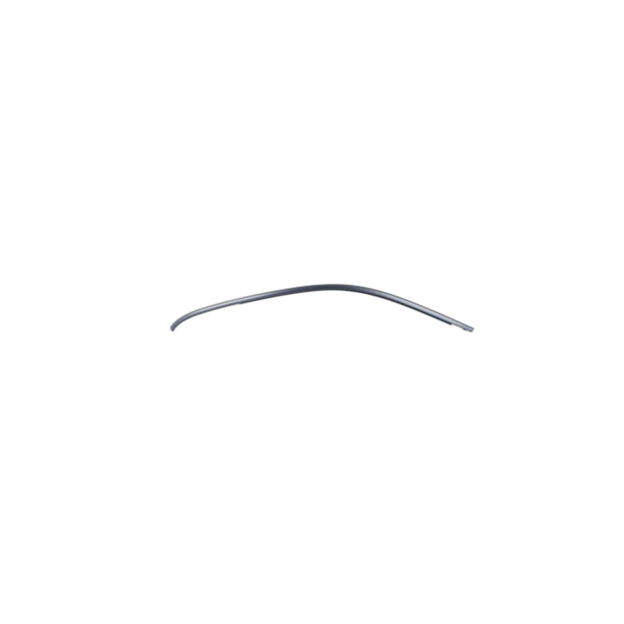 Genuine BMW 51328408303 E53 Window Frame Cover, Front Left Door SCHWARZ (Inc. X5)