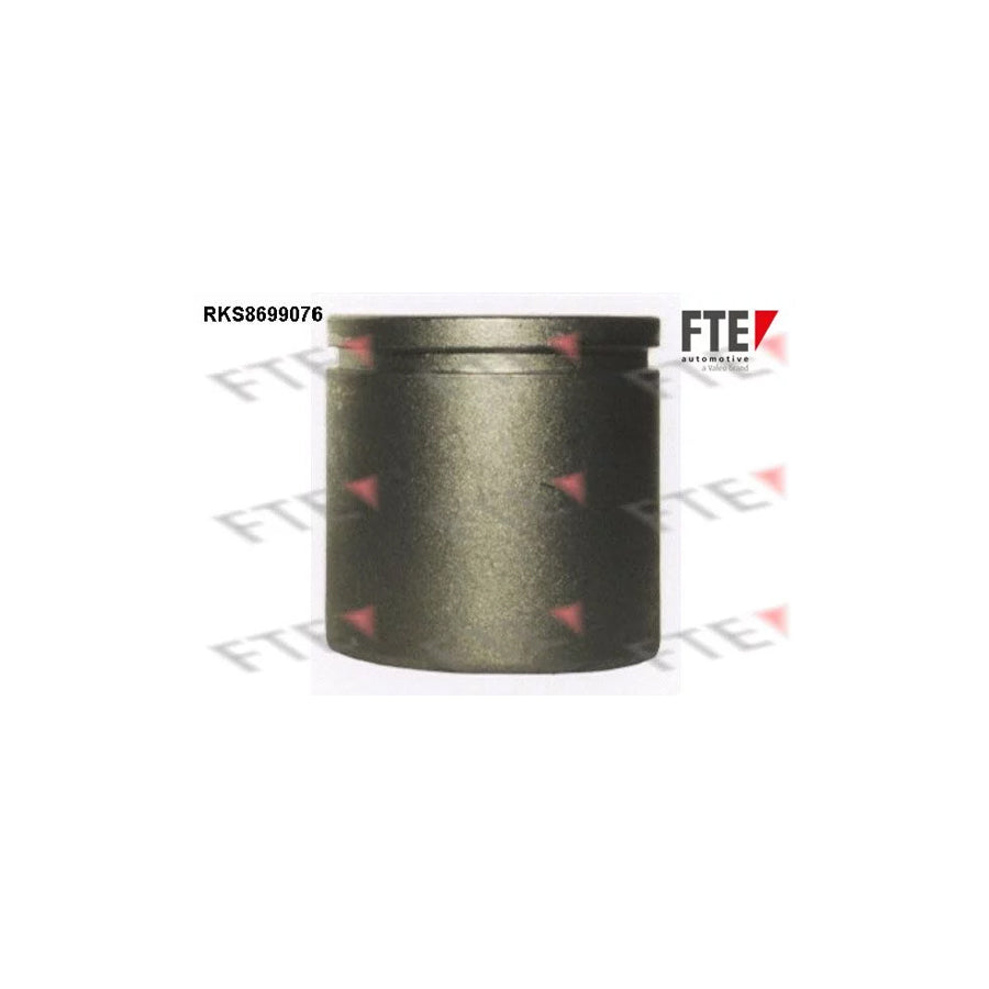 FTE Rks8699076 Piston, Brake Caliper