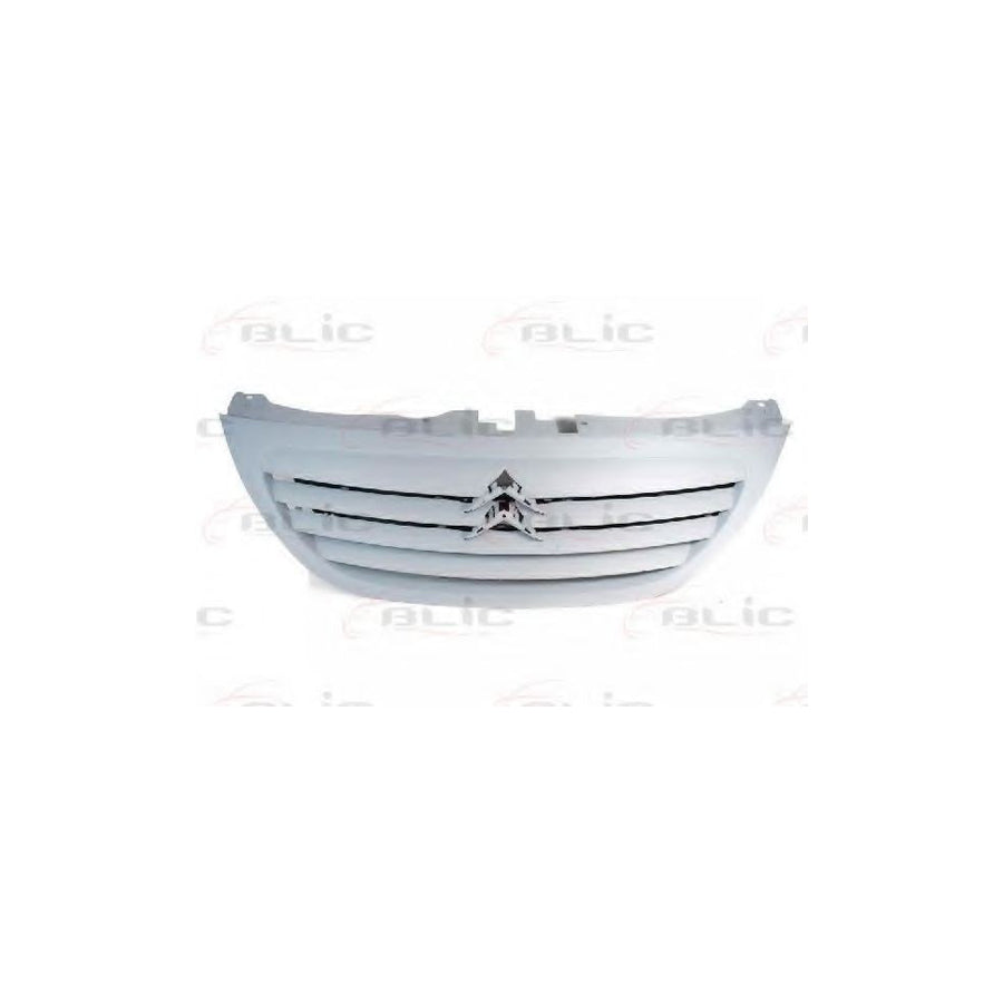 Blic 6502-07-0519990P Radiator Grille for Citroen C3 I Hatchback (Fc, Fn)