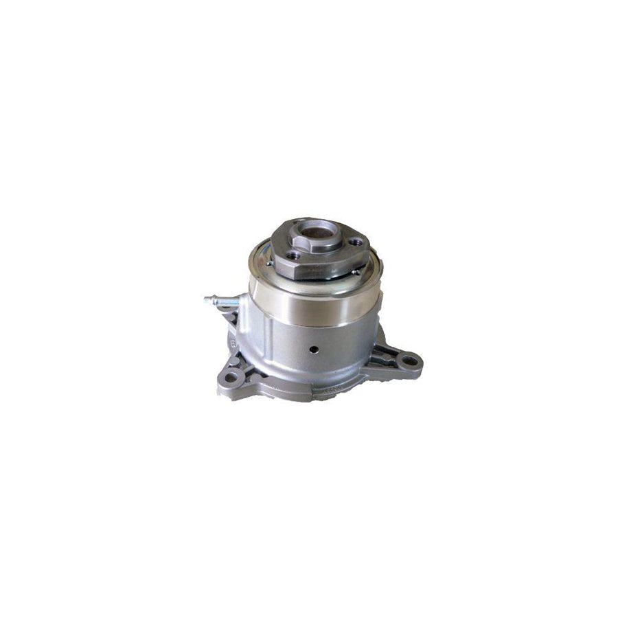 BUGIAD Bsp23184 Water Pump