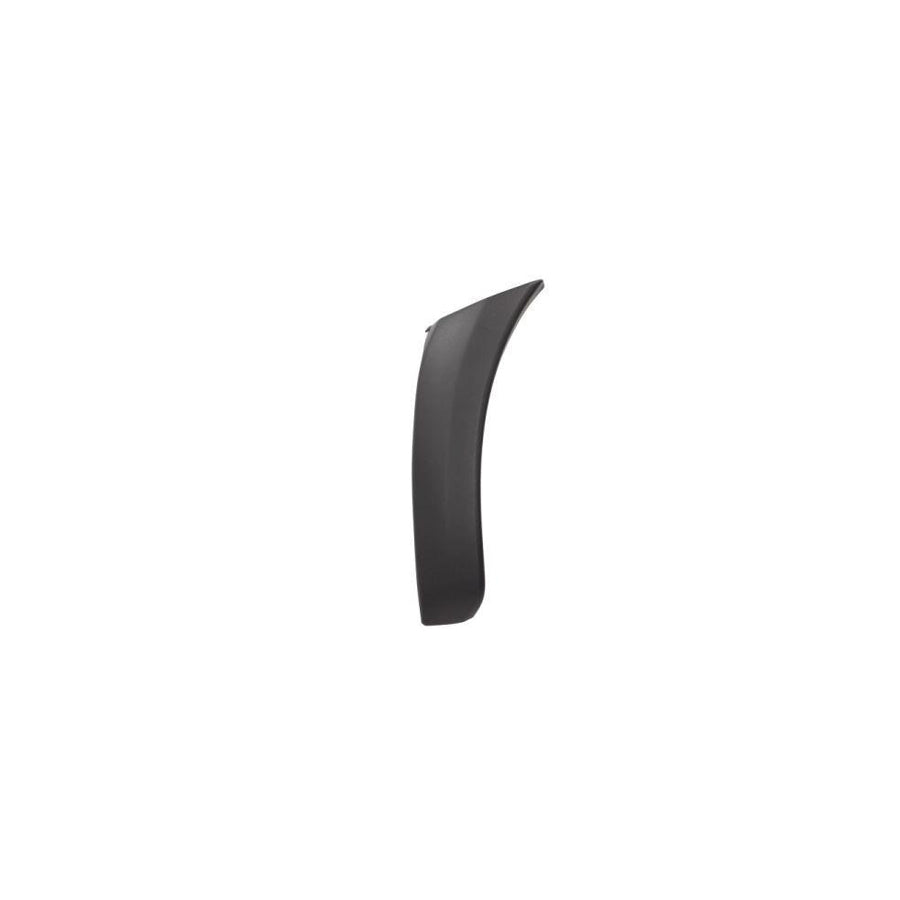 Blic 5703-08-8179371P Trim / Protective Strip, Mudguard for Toyota Rav4 II Off-Road (Xa20)
