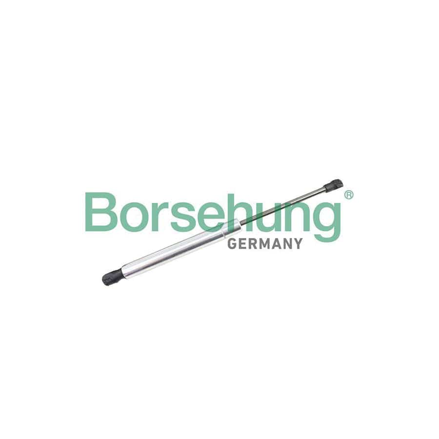 Borsehung B18459 Tailgate Strut for VW Phaeton (3D1, 3D2, 3D3, 3D4, 3D6, 3D7, 3D8, 3D9)