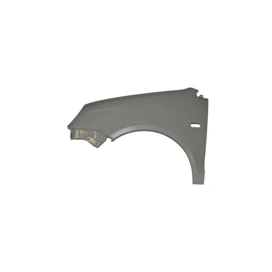 Blic 6504-04-9506311Q Wing Fender for VW Polo