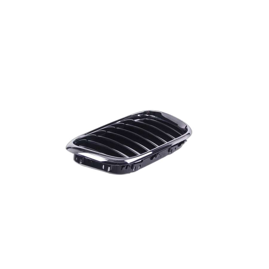 Genuine BMW 51138402646 E53 Grille, Front, Right (Inc. X5 3.0i, X5 4.4i & X5 3.0d)