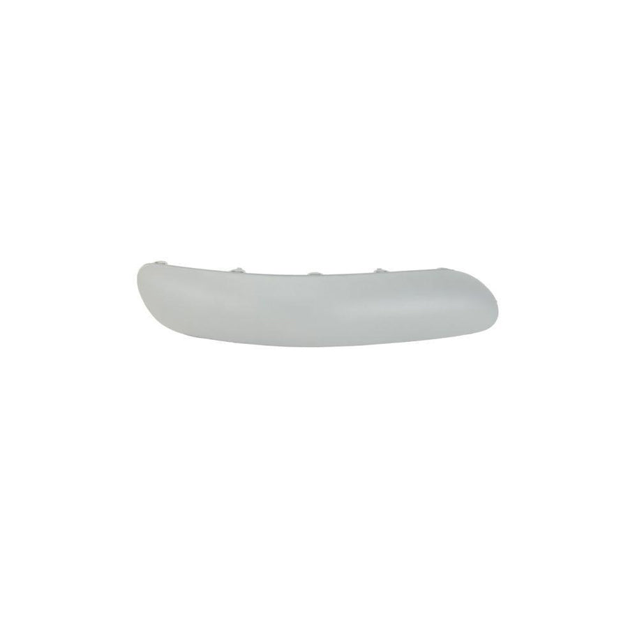 Blic 6502-07-0519922P Bumper Moulding for Citroen C3 I Hatchback (Fc, Fn)