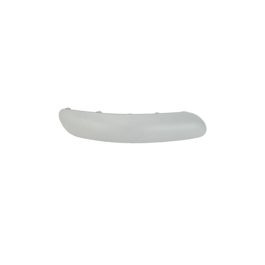 Blic 6502-07-0519921P Bumper Moulding for Citroen C3 I Hatchback (Fc, Fn)