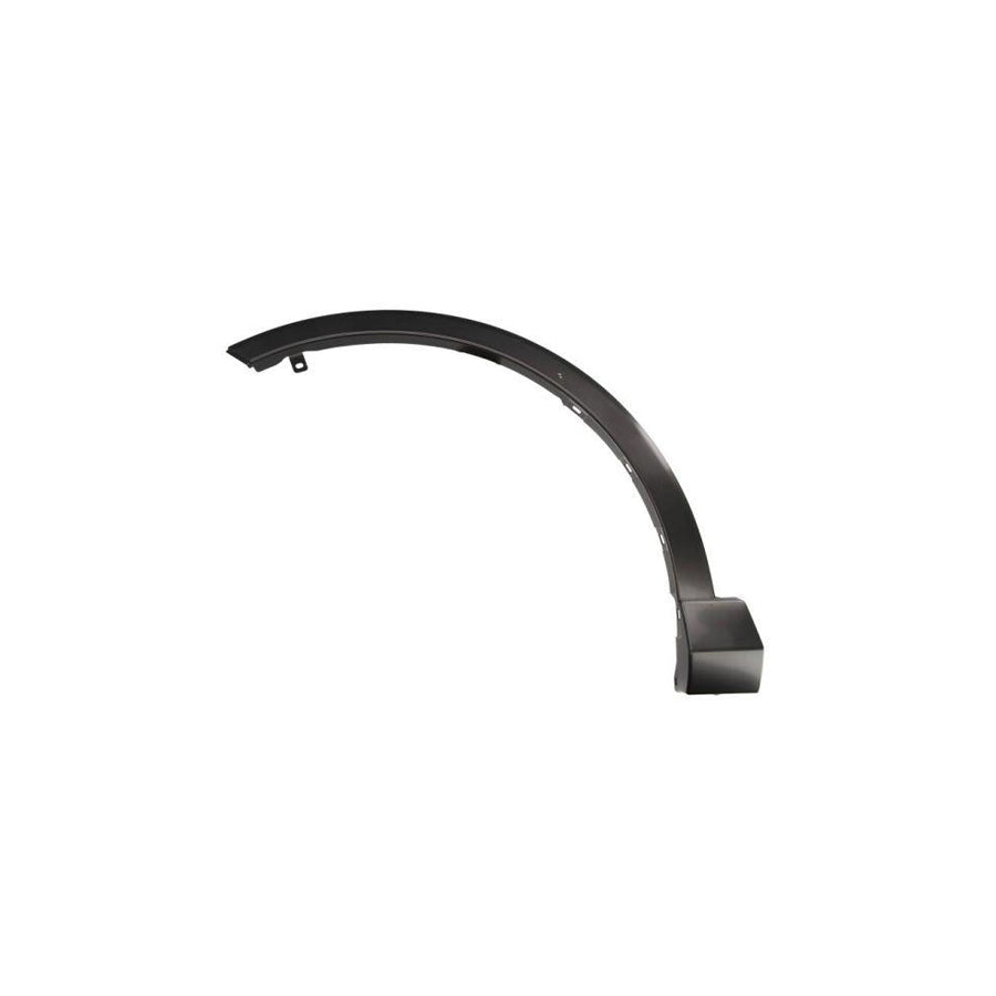 Blic 5703-08-8178371P Trim / Protective Strip, Mudguard for Toyota Rav4 IV Off-Road (Xa40)