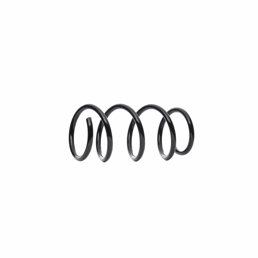 KYB RA3506 Coil Spring for Renault Kangoo