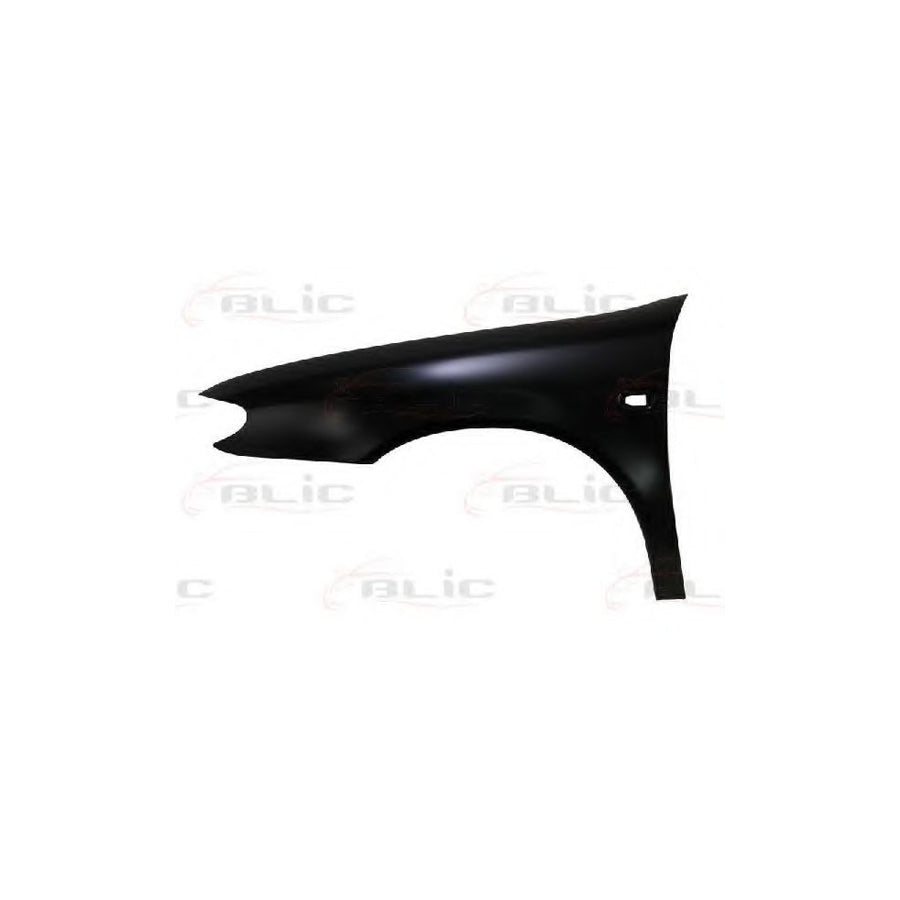 Blic 6504-04-0535311P Wing Fender for Citroen Xsara