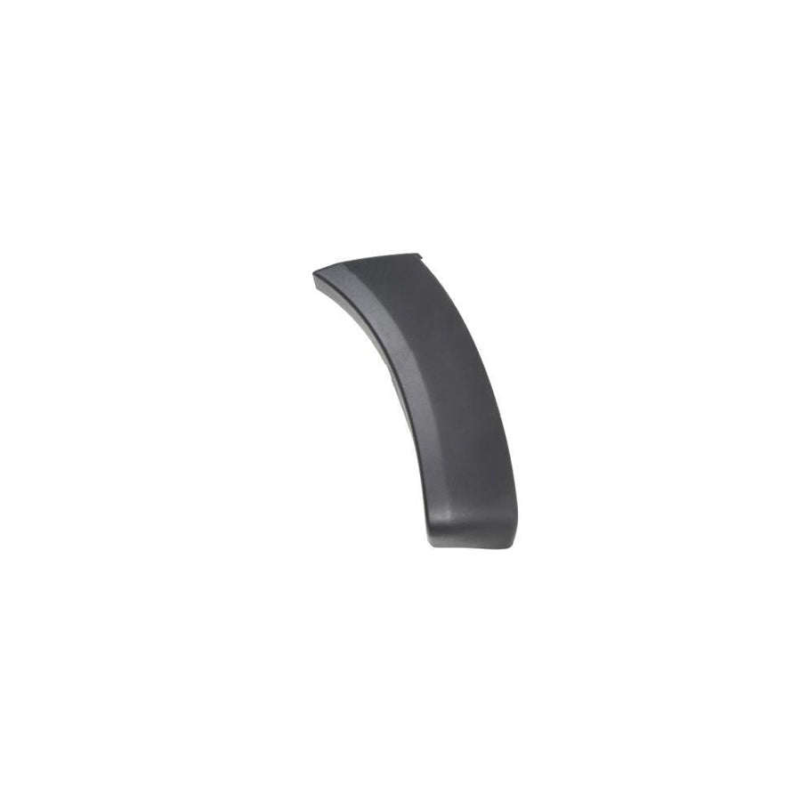 Blic 5703-08-8172378P Trim / Protective Strip, Mudguard for Toyota Hilux VII Pickup